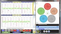 biocheck Pro Software: With the 5-Elements chart.